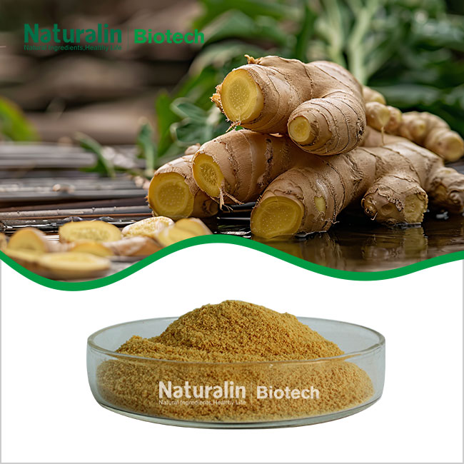 Ginger Granules Ginger Granules